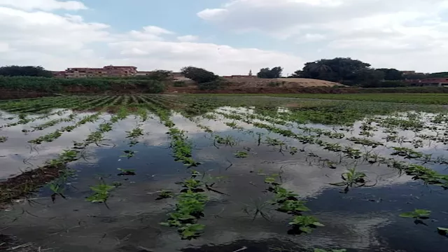 فيضان النيل