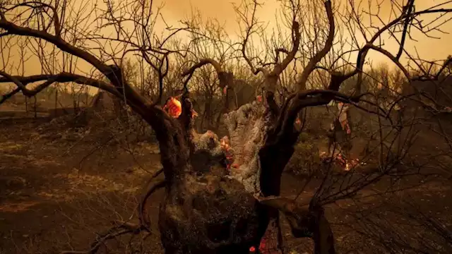 التغير المناخي