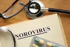 فيروس يثير الرعب في بريطانيا- دليل شامل عنه