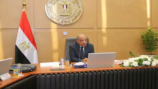 الدكتور محمود عصمت