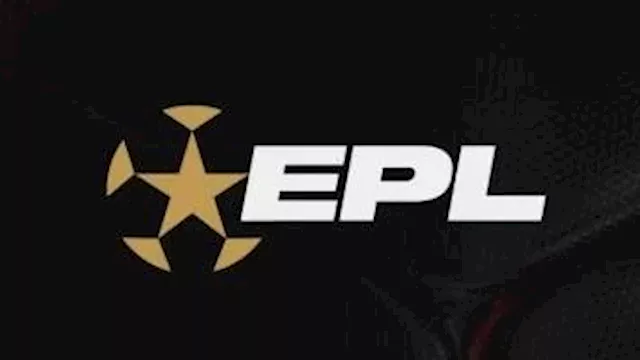 الدوري المصري الممتاز                             