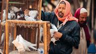 الصورة من فليكر - حاصلة على رخصة استح