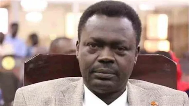 حاكم إقليم دارفور منى أركو مناوي 