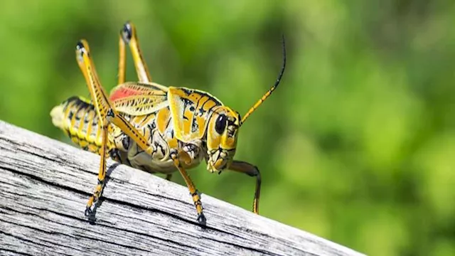 صورة تعبيرية