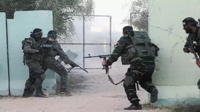 قوات الاحتلال                                     