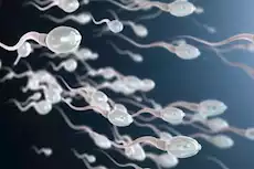 تعاني انخفاض عدد الحيوانات المنوية؟.. 5 حلول لتحسين الخصوبة