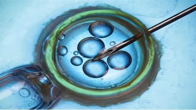 تحويل خلايا جلد بشرية إلى بويضات