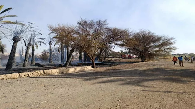 جانب من الحريق بمزرعة نخيل بالوادي الجديد