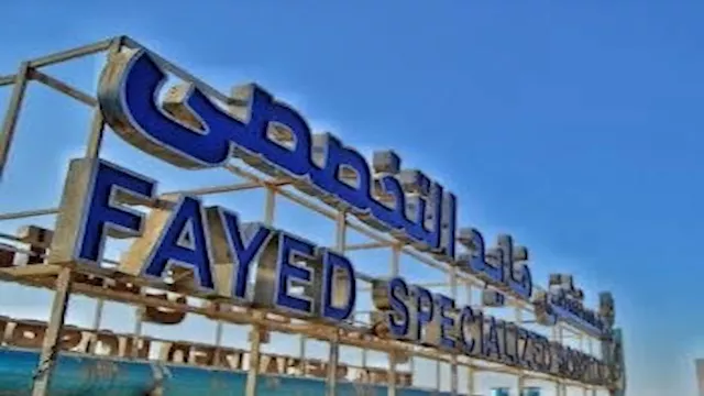 مستشفى فايد التخصصي بالإسماعيلية