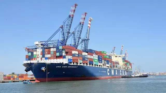 سفن البضائع بميناء سفاجا 