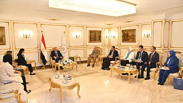 الدكتور هاني سويلم خلال ورشة العمل