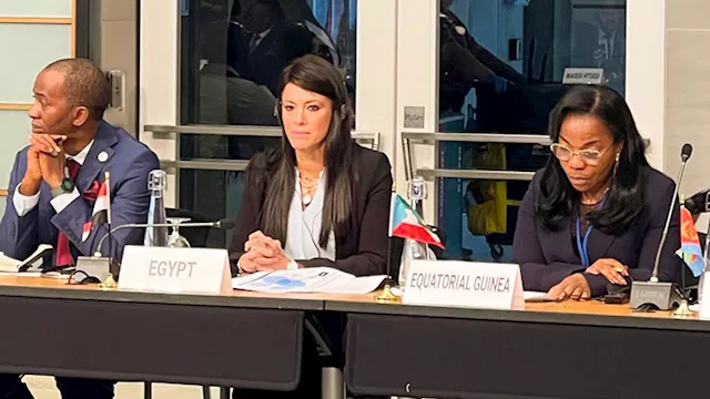 رانيا المشاط، وزيرة التخطيط والتنمية الاقتصادية 