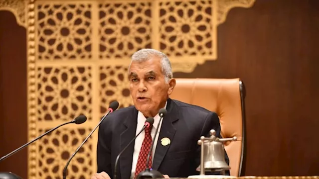 المستشار عصام الدين فريد