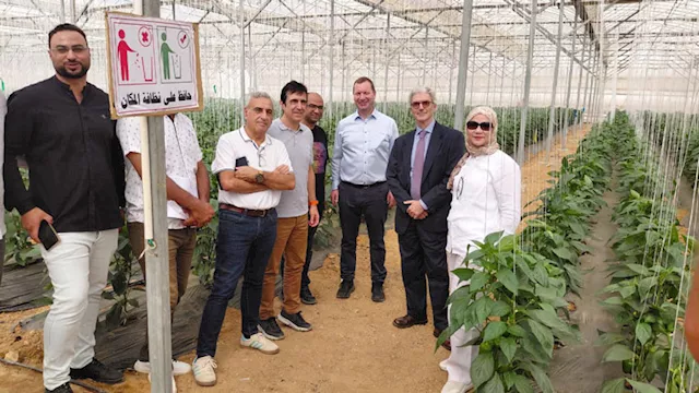 بعثة المفوضية الأوروبية