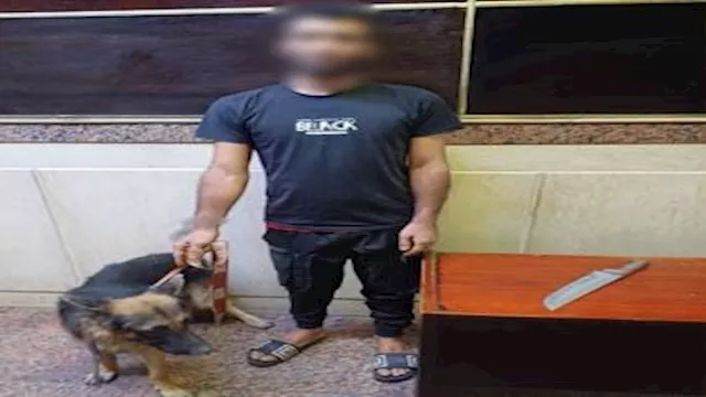 ضبط بلطجي روع المواطنين