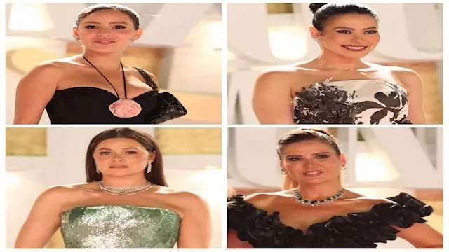 مهرجان الجونة