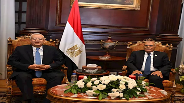 رئيس مجلس الشيوخ يستقبل رئيس النواب ووكيلي المجلس