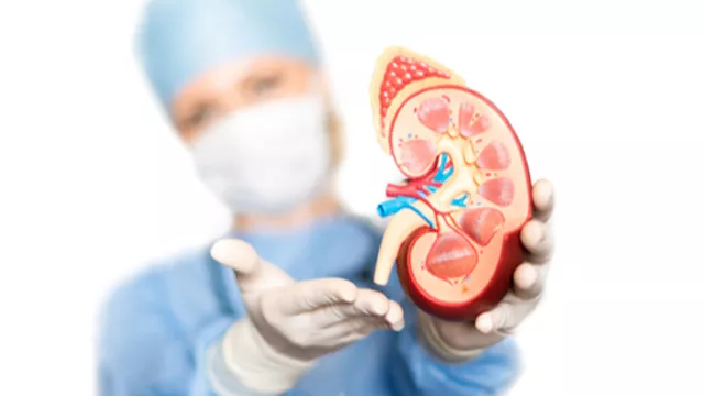 نجاح أول زراعة كلية بعد تحويل فصيلتها من A إلى O  