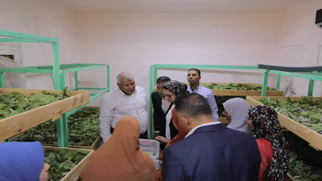 الزملوط يتفقد مركز الحرير بالخارجة