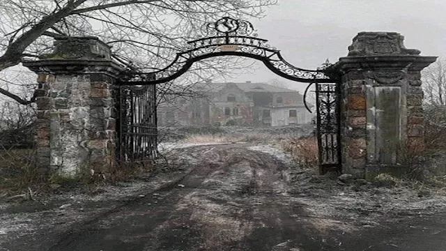 صورة تعبيرية