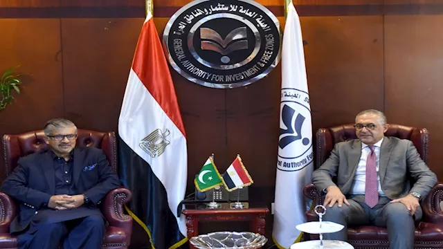 حسام هيبة وعامر شوكت