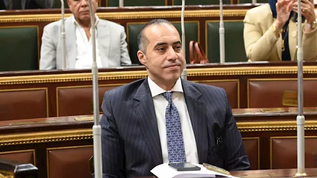 المستشار محمود فوزي