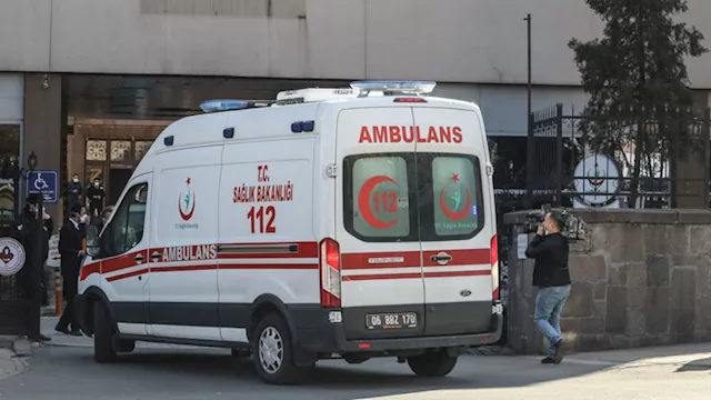 إصابة سائحين بعد وفاة أم ألمانية وطفليها