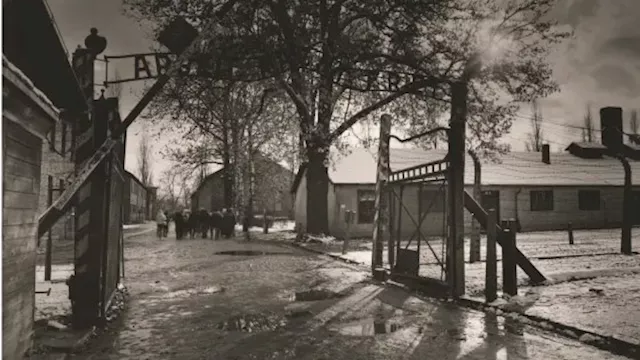 إلغاء مزاد بيع شهادات تخصّ ضحايا الهولوكوست في ألم