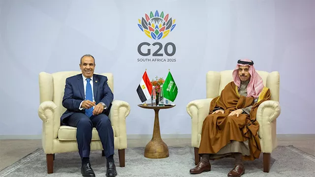  عبد العاطي ونظيره السعودي يناقشان العلاقات المشتر