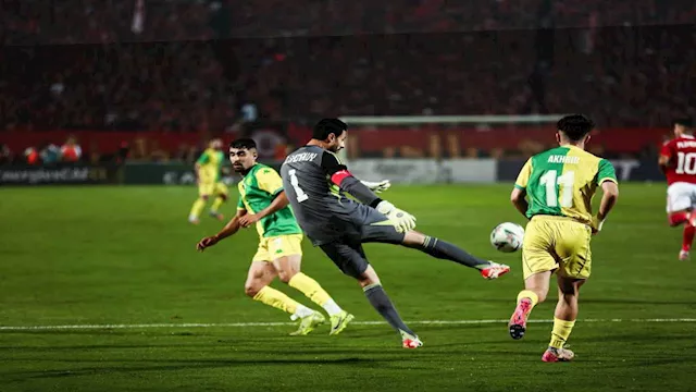 محمد الشناوي