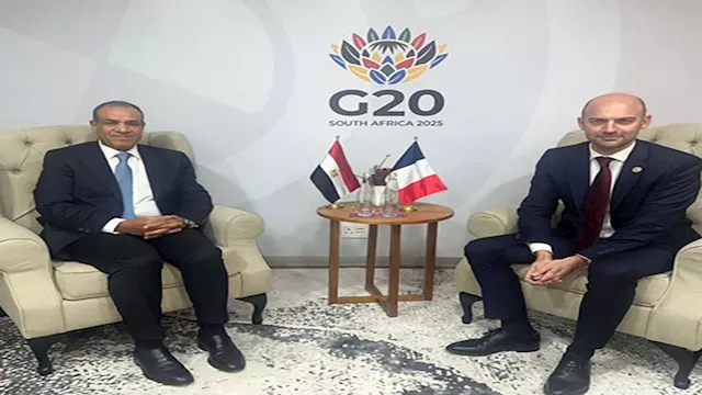 عبد العاطي ونظيره الفرنسي