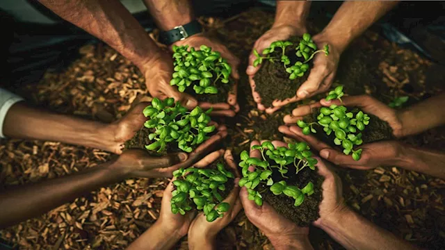  الصدقة الجارية