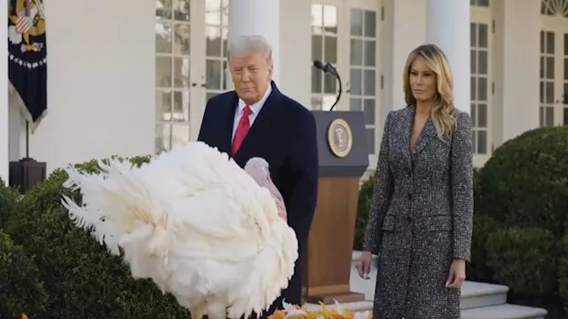 ترامب يعفو عن ديك رومي