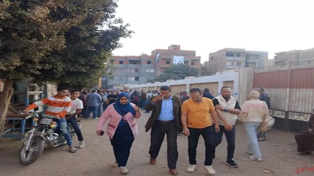 قرب فتح اللجان الانتخابية بالمنوفية