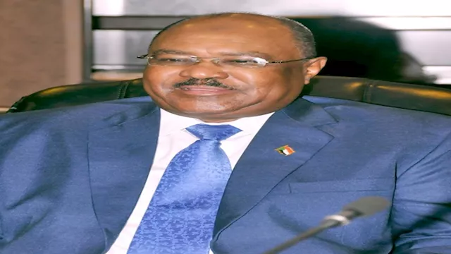 وزير الخارجية السوداني محيي الدين سالم