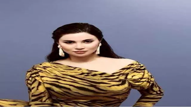الفنانة هدى الإتربي