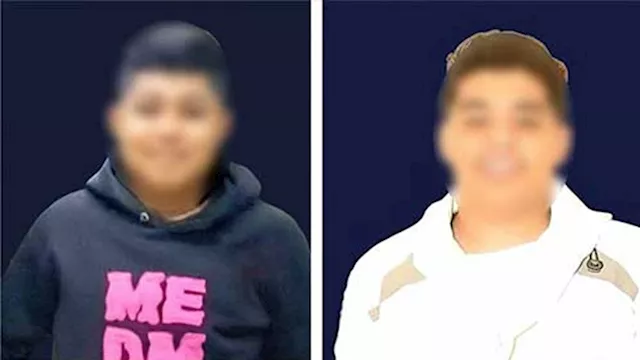 وفاة حفيدين