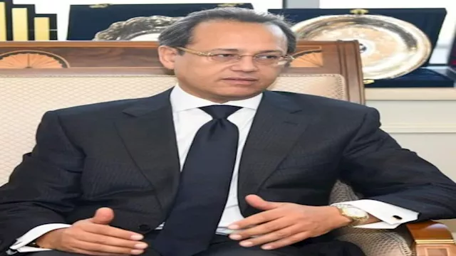 السفير هانئ ناجي