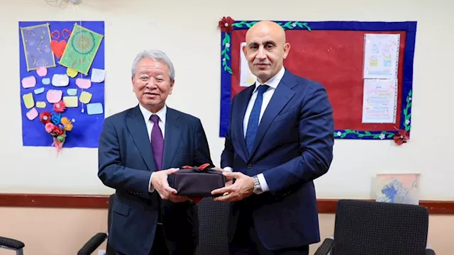 المدرسة المصرية اليابانية