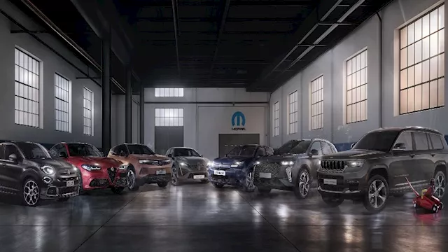 ستلانتس مصر 