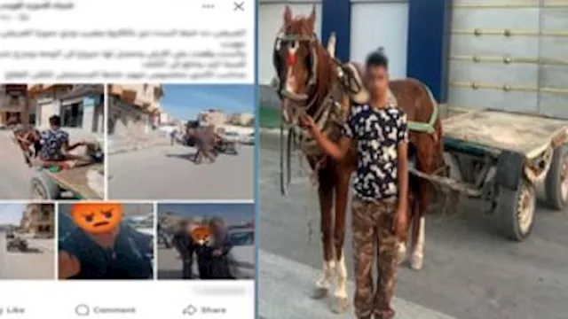 عربى كارو تصدم أجنبية