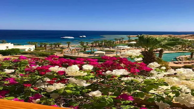 المنتدى العربي للأرض والمناخ