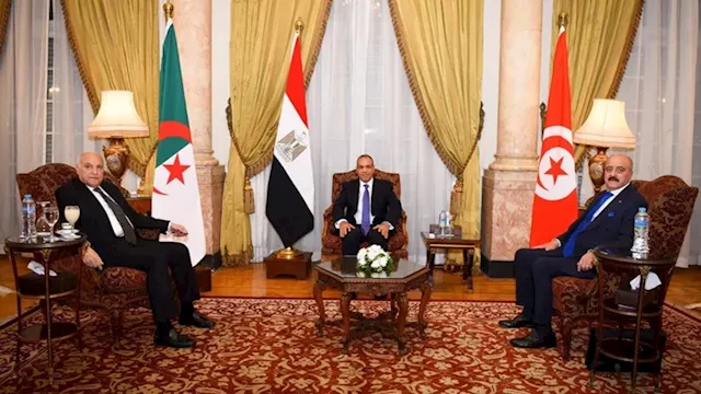 وزراء خارجية مصر والجزائر وتونس