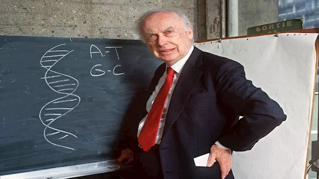 James Watson جيمس واطسون
