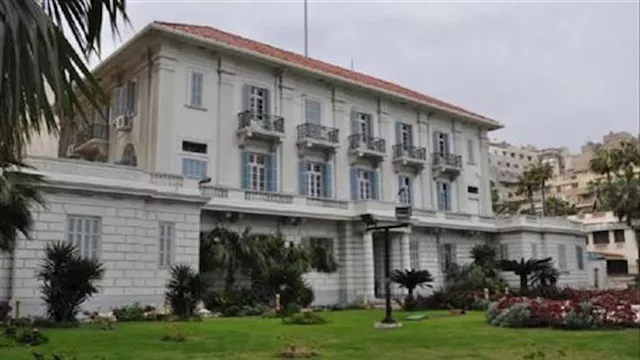 طب الإسكندرية