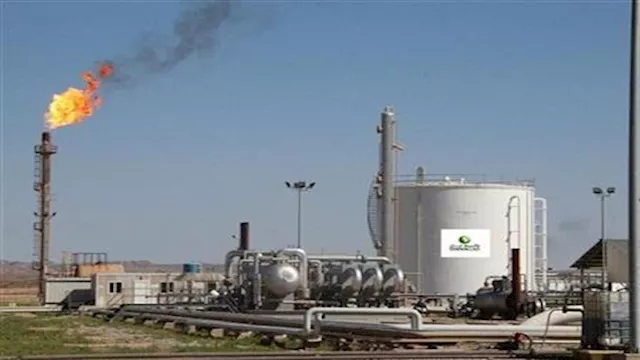 شركة دانة غاز