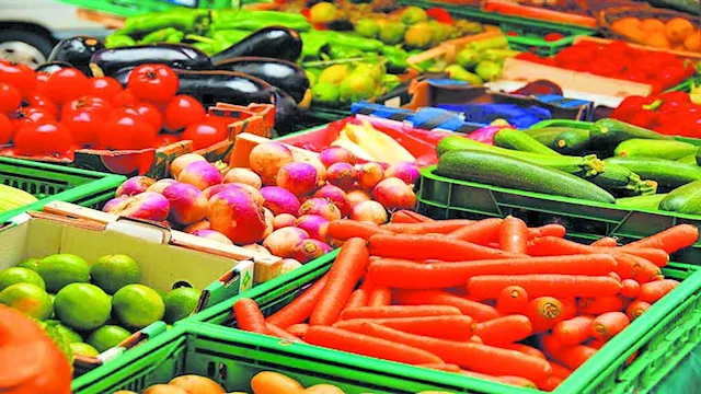 التصديري للحاصلات الزراعية