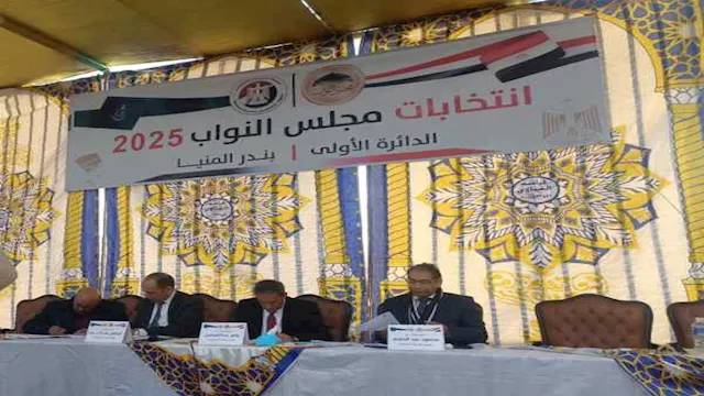 انتخابات المنيا