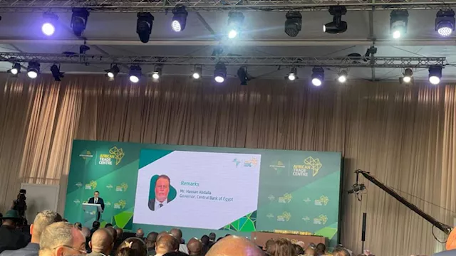 حسن عبد الله محافظ البنك المركزي المصري