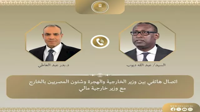 بدر عبد العاطي وزير الخارجية ونظيره المالي عبد الل